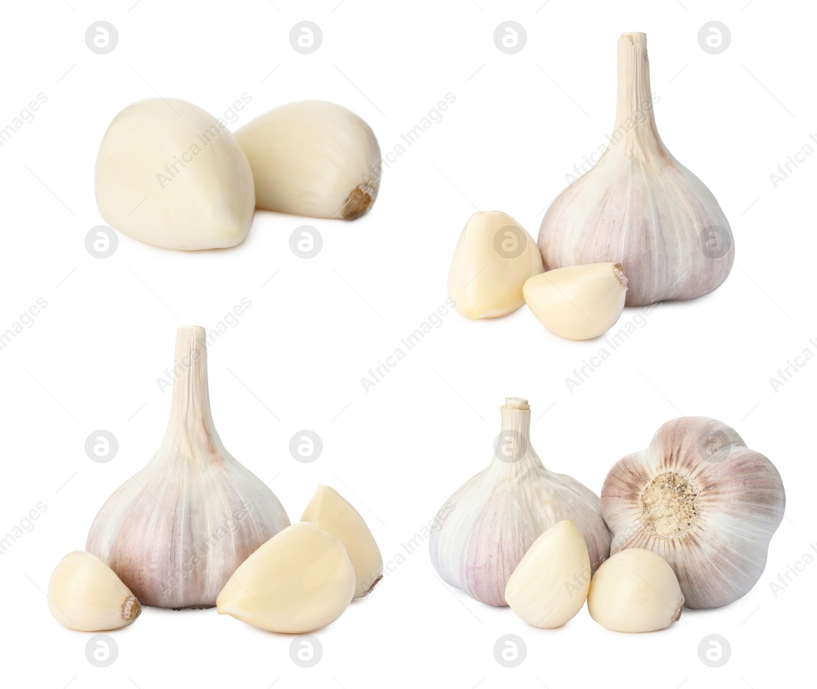 Image of Set of garlic bulbs and cloves on white background