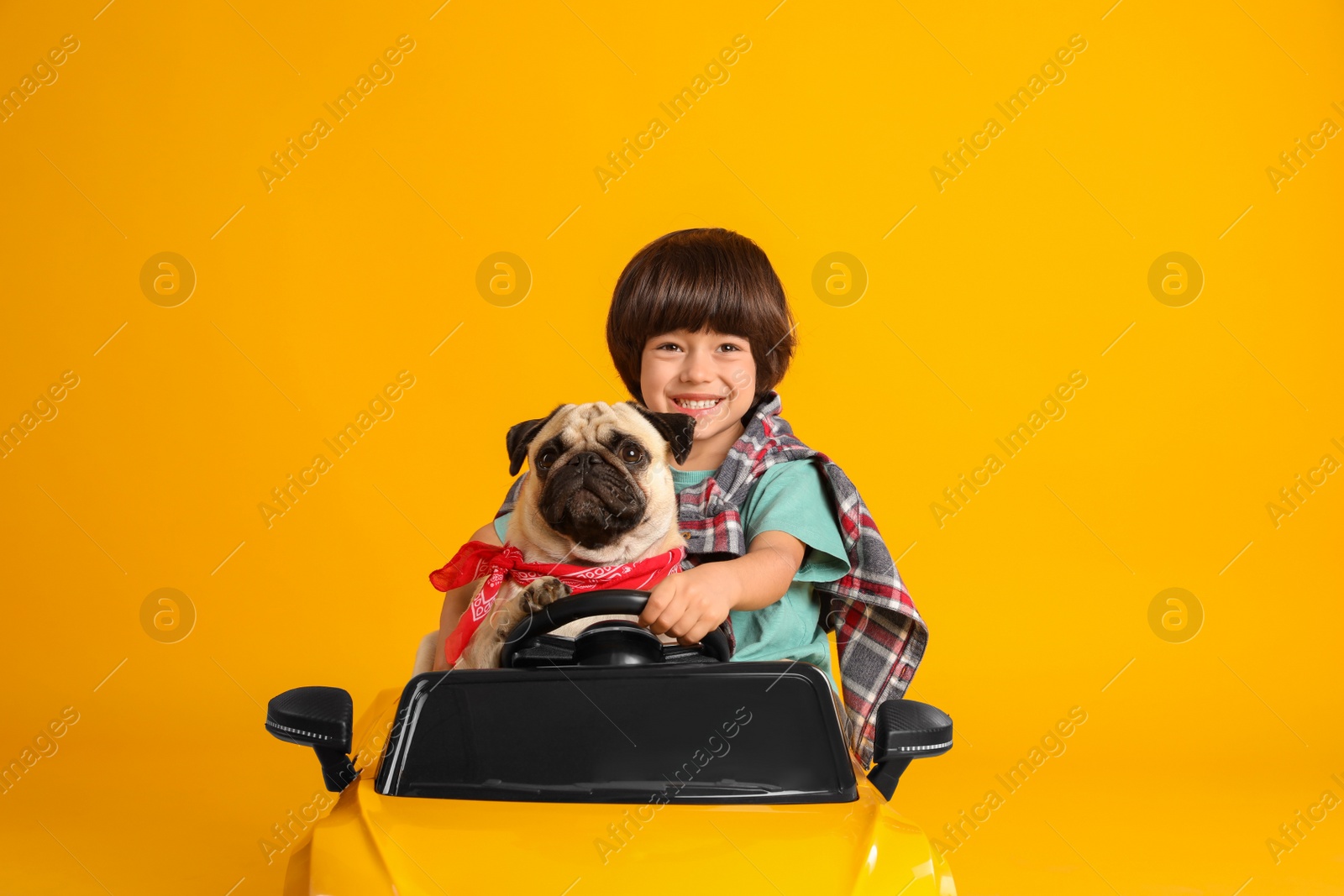 Photo of Little boy with his dog in toy car on yellow background