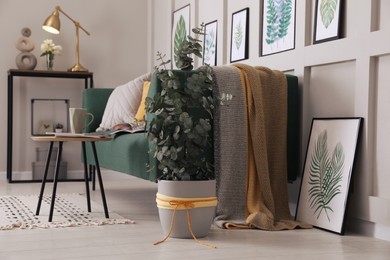 Photo of Living room with stylish furniture, beautiful eucalyptus and decorative elements. Interior design