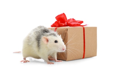 Cute little rat and gift box on white background. Chinese New Year symbol