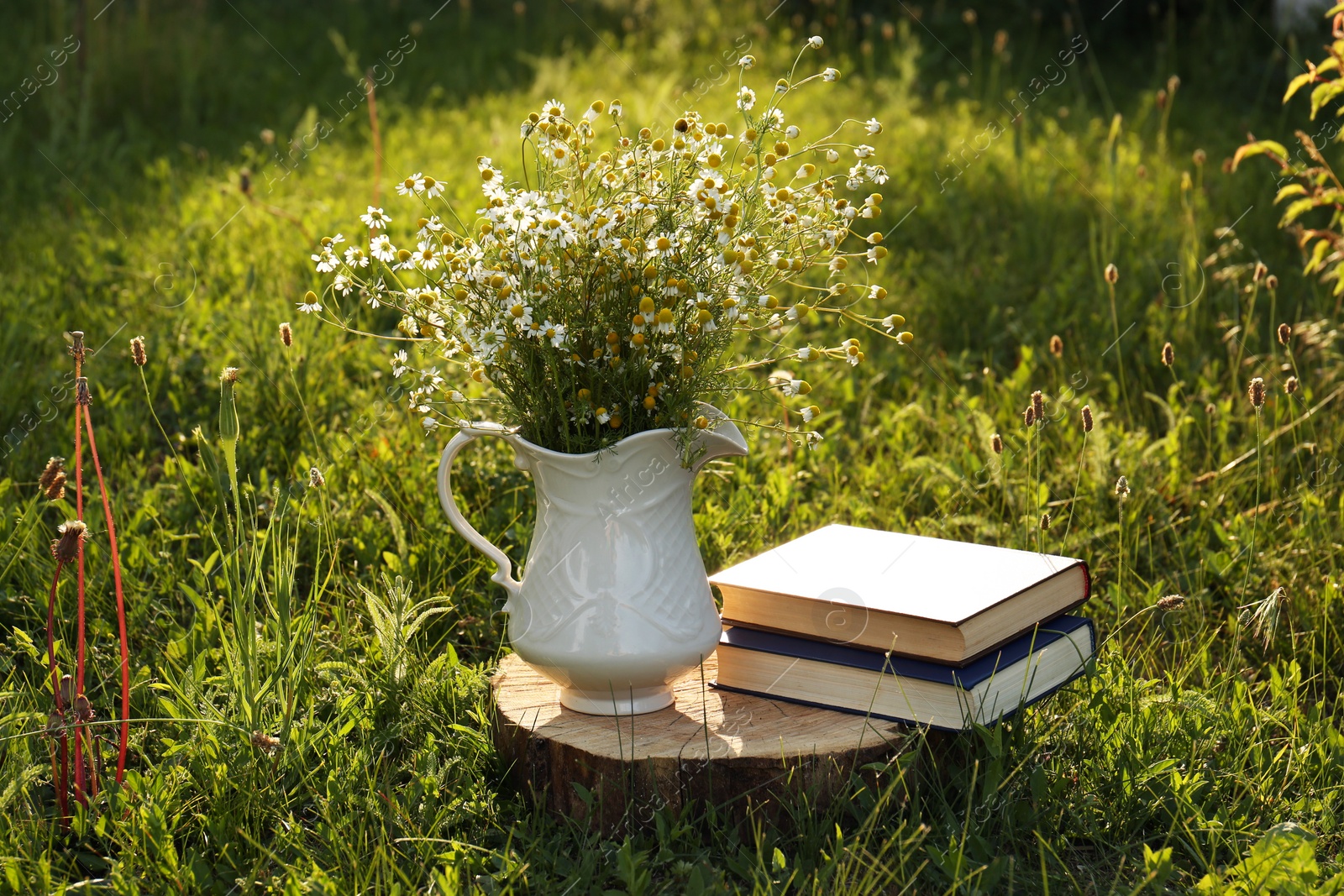 Photo of Books and jug with chamomiles on green grass outdoors