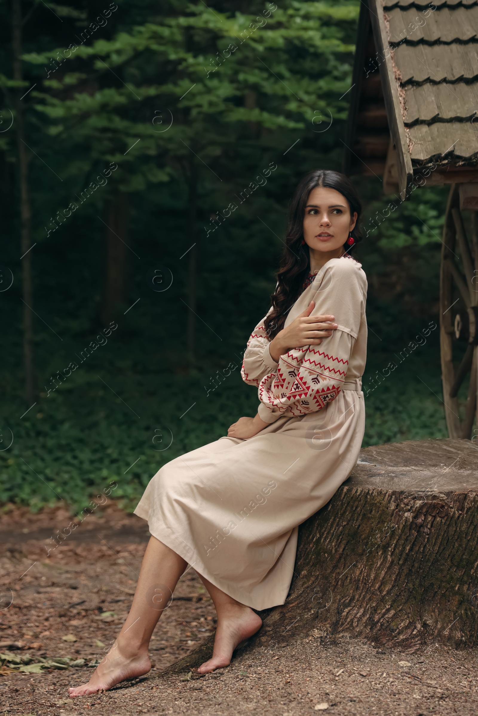 Photo of Beautiful woman wearing embroidered dress sitting near old wooden well in countryside. Ukrainian national clothes