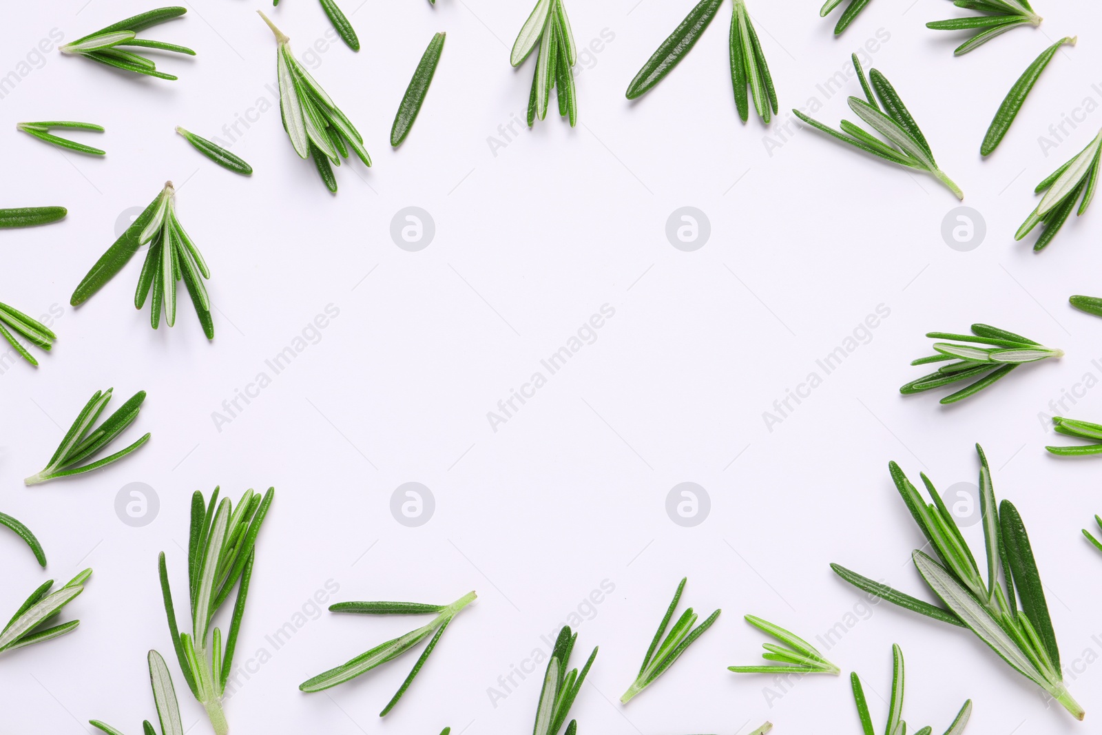 Photo of Frame made of fresh rosemary on white background, flat lay. Space for text