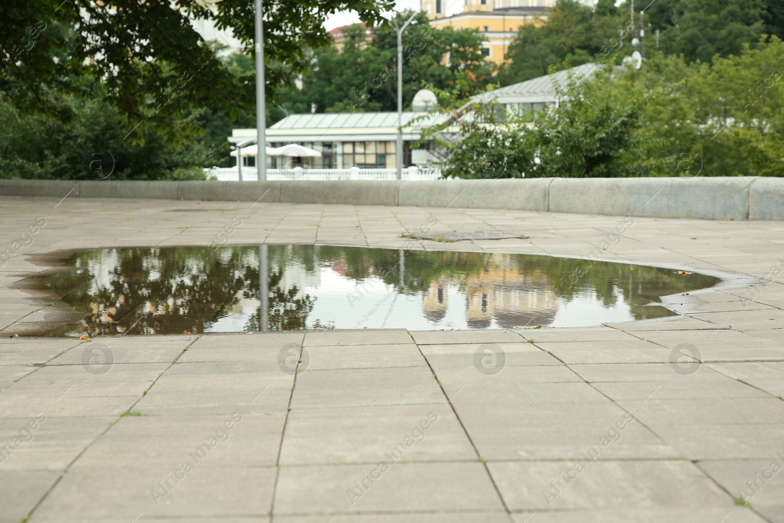 Photo of Puddle of rain water on paved pathway outdoors