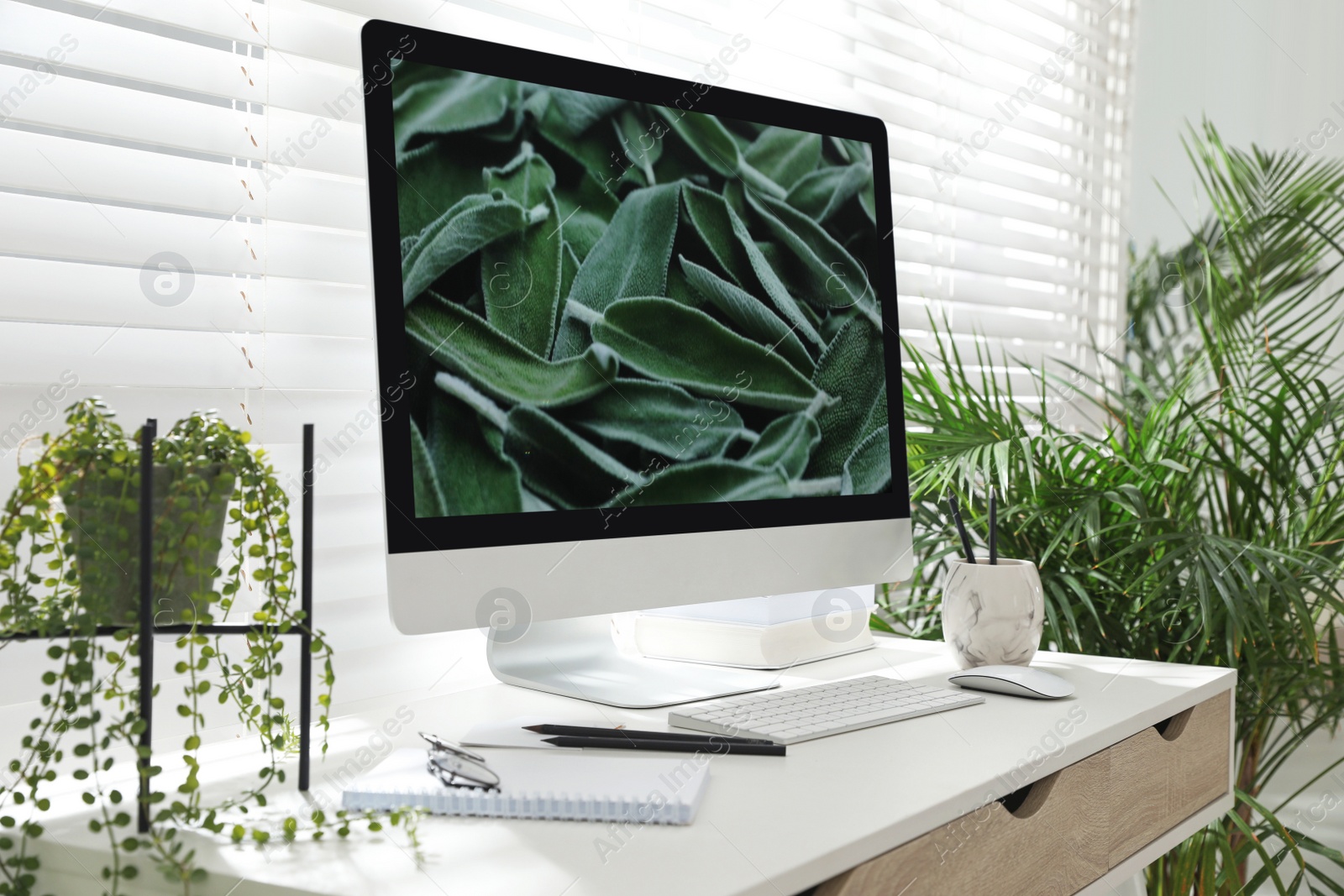 Photo of Comfortable workplace with modern computer and green plants in room. Interior design