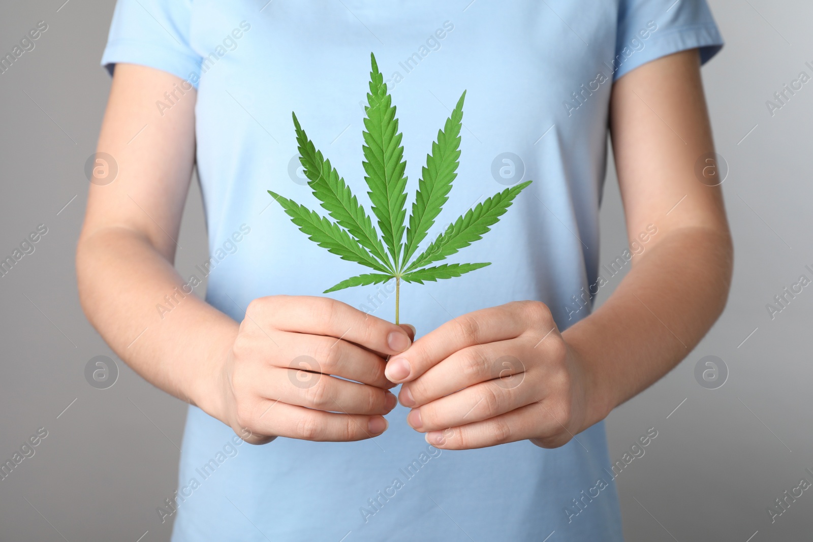 Photo of Woman holding hemp leaf on grey background, closeup