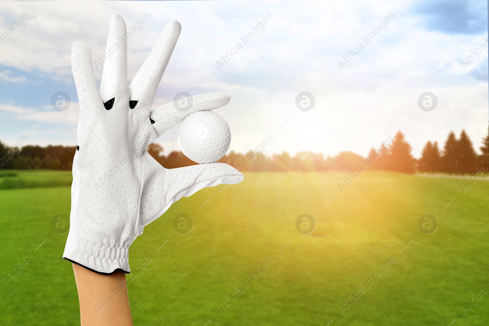 Image of Player holding golf ball in park on sunny day, closeup. Space for design