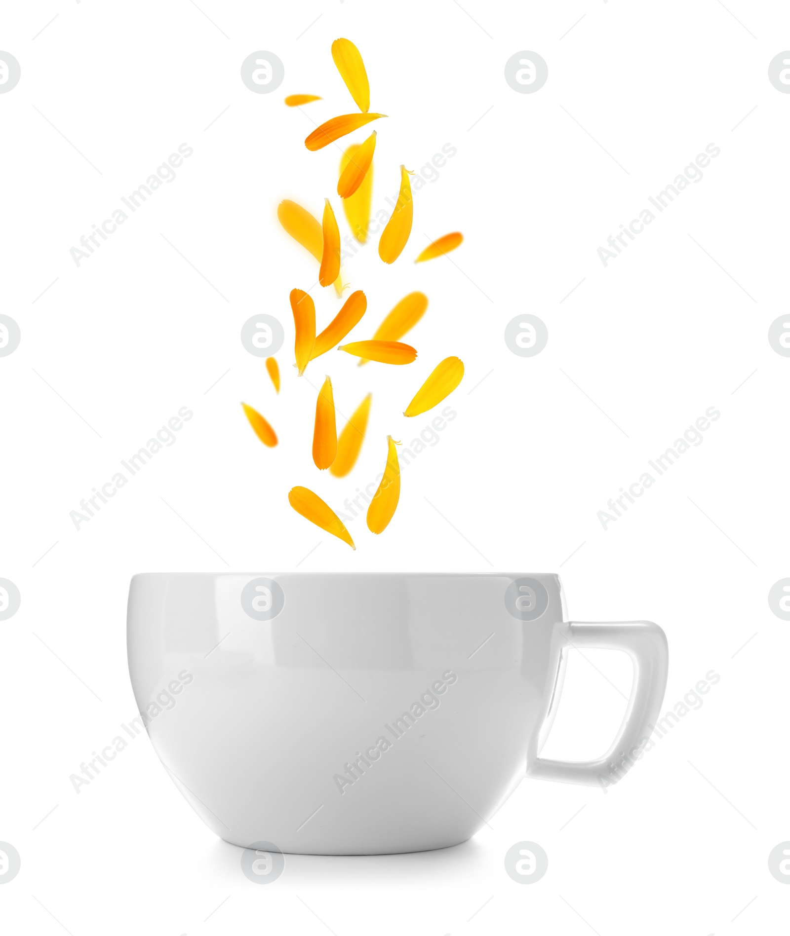 Image of Beautiful calendula petals falling into cup of freshly brewed tea on white background