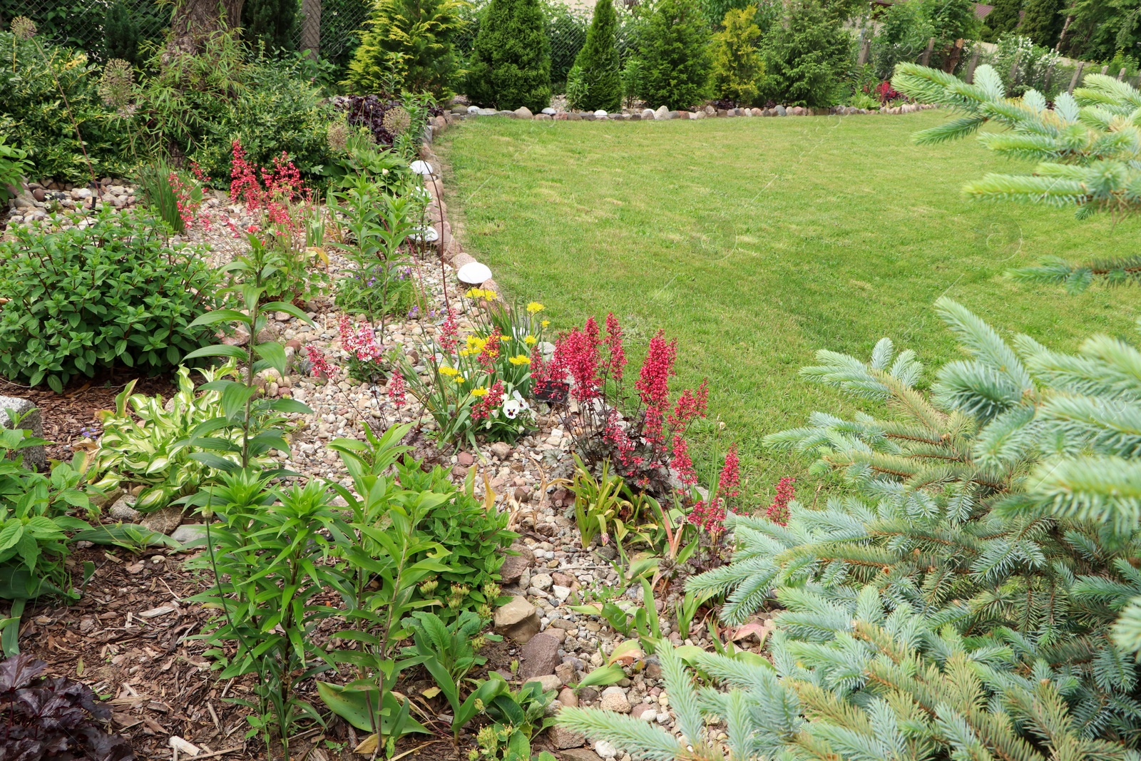 Photo of Beautiful flowerbed with different plants outdoors. Gardening and landscaping