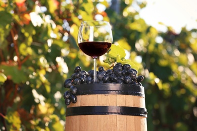 Photo of Composition with glass of red wine and ripe grapes on barrel outdoors