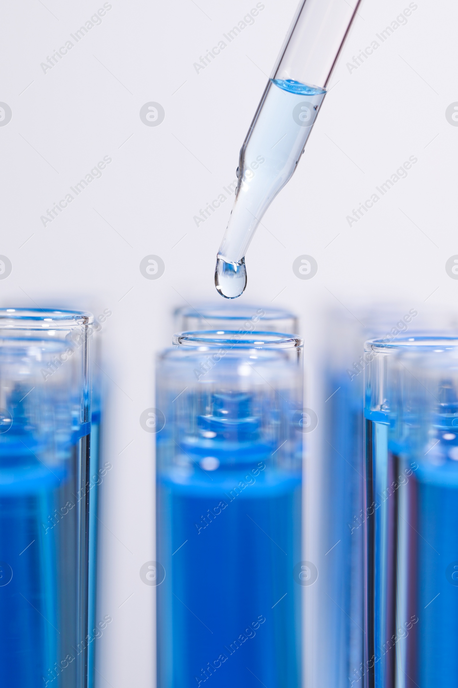 Photo of Dripping reagent into test tube with blue liquid on light background, closeup. Laboratory analysis