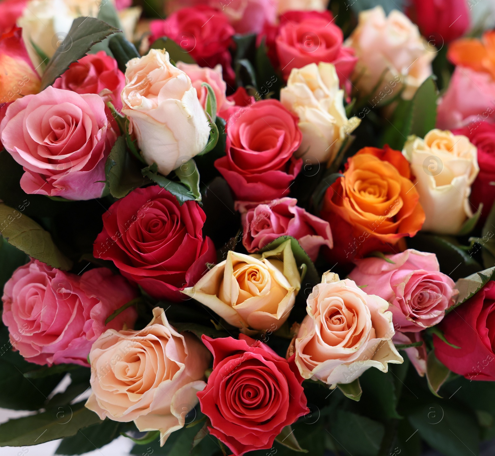 Photo of Bouquet of beautiful roses on light grey background, closeup