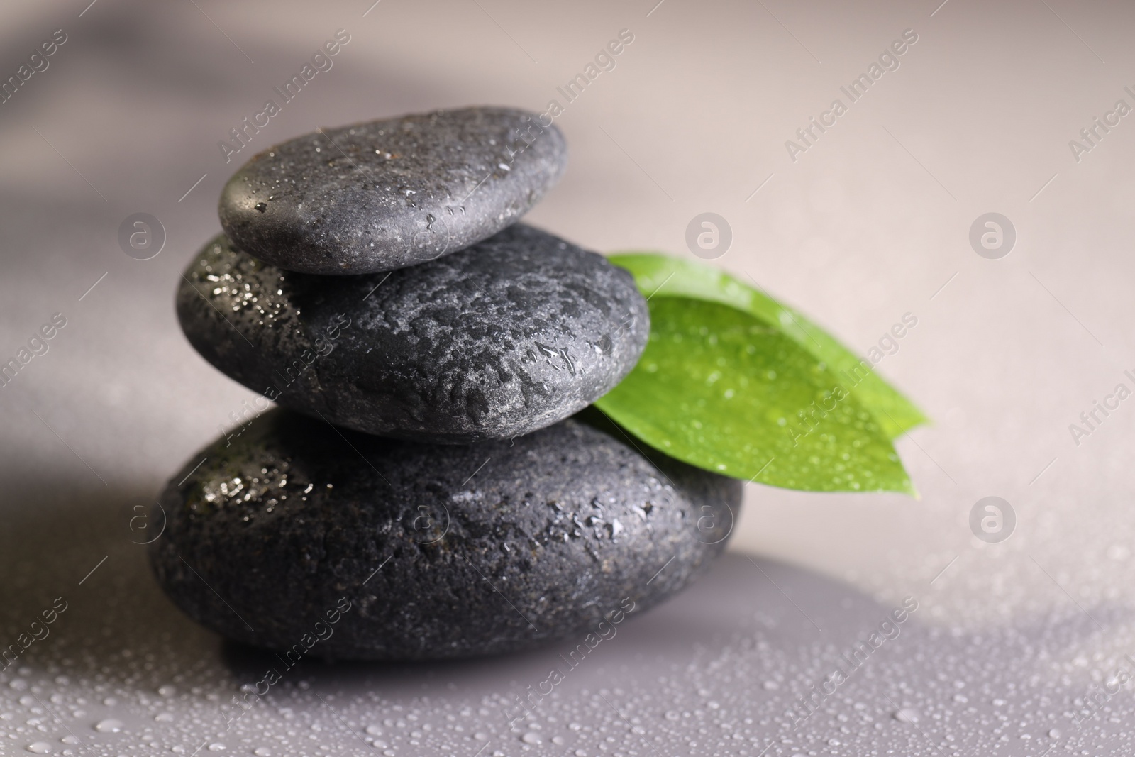 Photo of Wet spa stones and green leaves on grey background