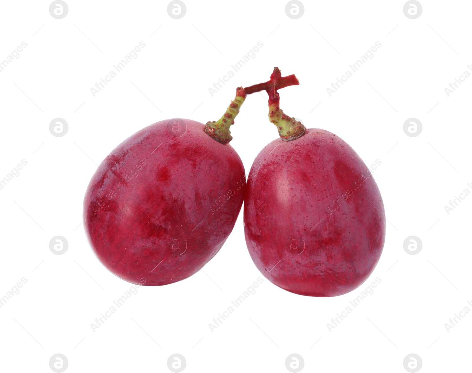 Photo of Two ripe red grapes isolated on white