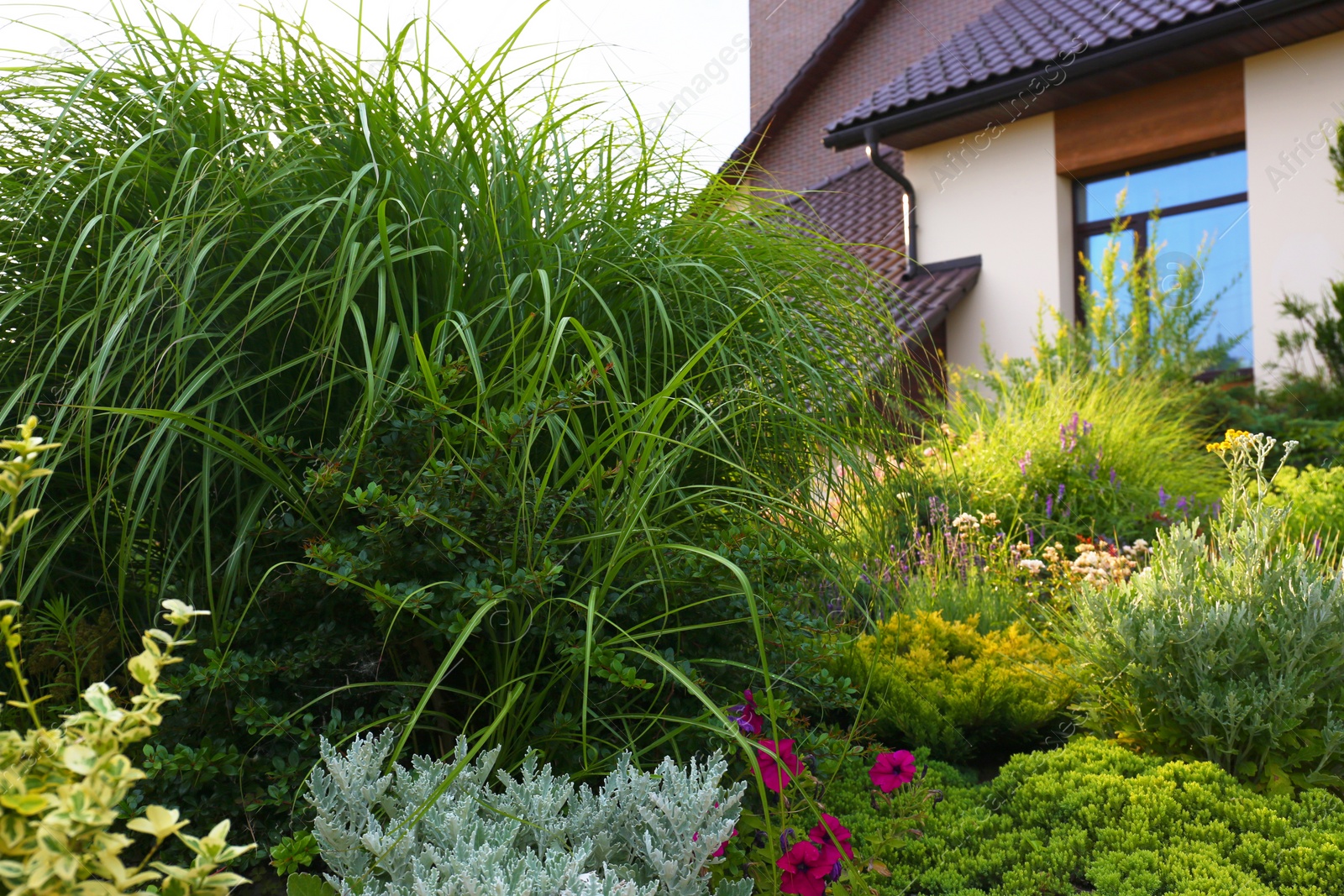 Photo of Beautiful landscape with green garden near modern house on summer day