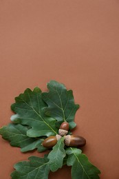 Photo of Acorns and green oak leaves on brown background, flat lay. Space for text