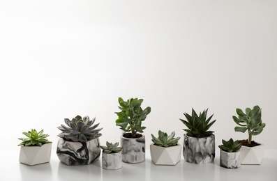 Photo of Beautiful succulents on white table. Interior decoration
