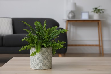 Photo of Beautiful green fern on wooden table in living room. Space for text