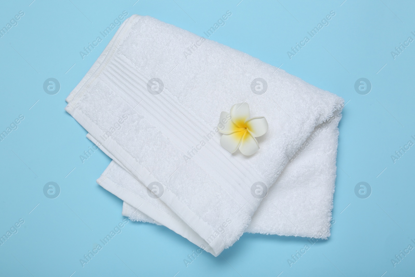 Photo of White terry towel and plumeria flower on light blue background, top view
