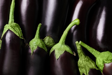 Photo of Fresh ripe purple eggplants as background, closeup