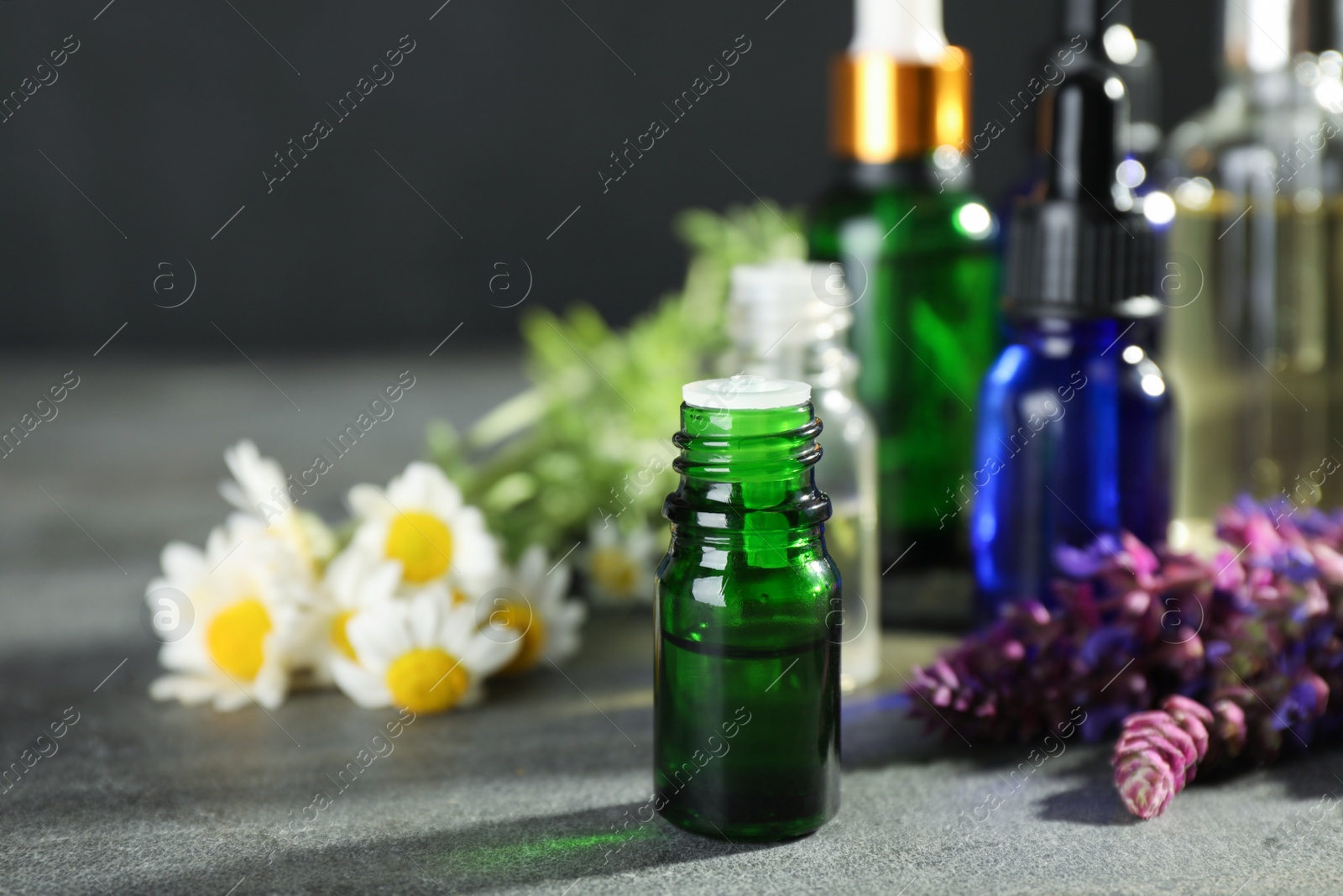 Photo of Bottles of essential oils and wildflowers on grey table, space for text