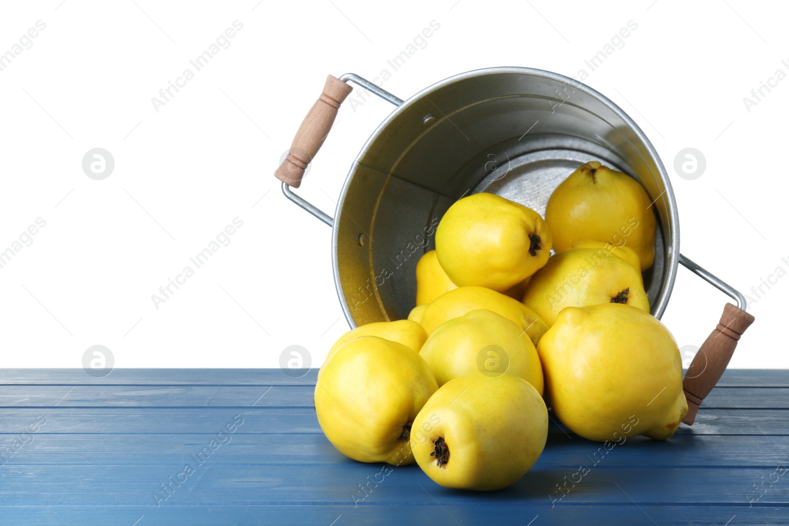 Photo of Bucket with delicious fresh ripe quinces on blue wooden table against white background, space for text