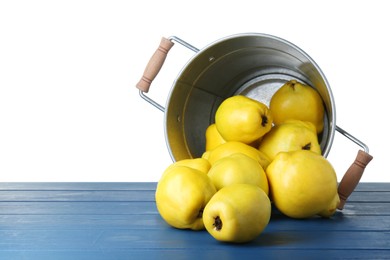 Photo of Bucket with delicious fresh ripe quinces on blue wooden table against white background, space for text