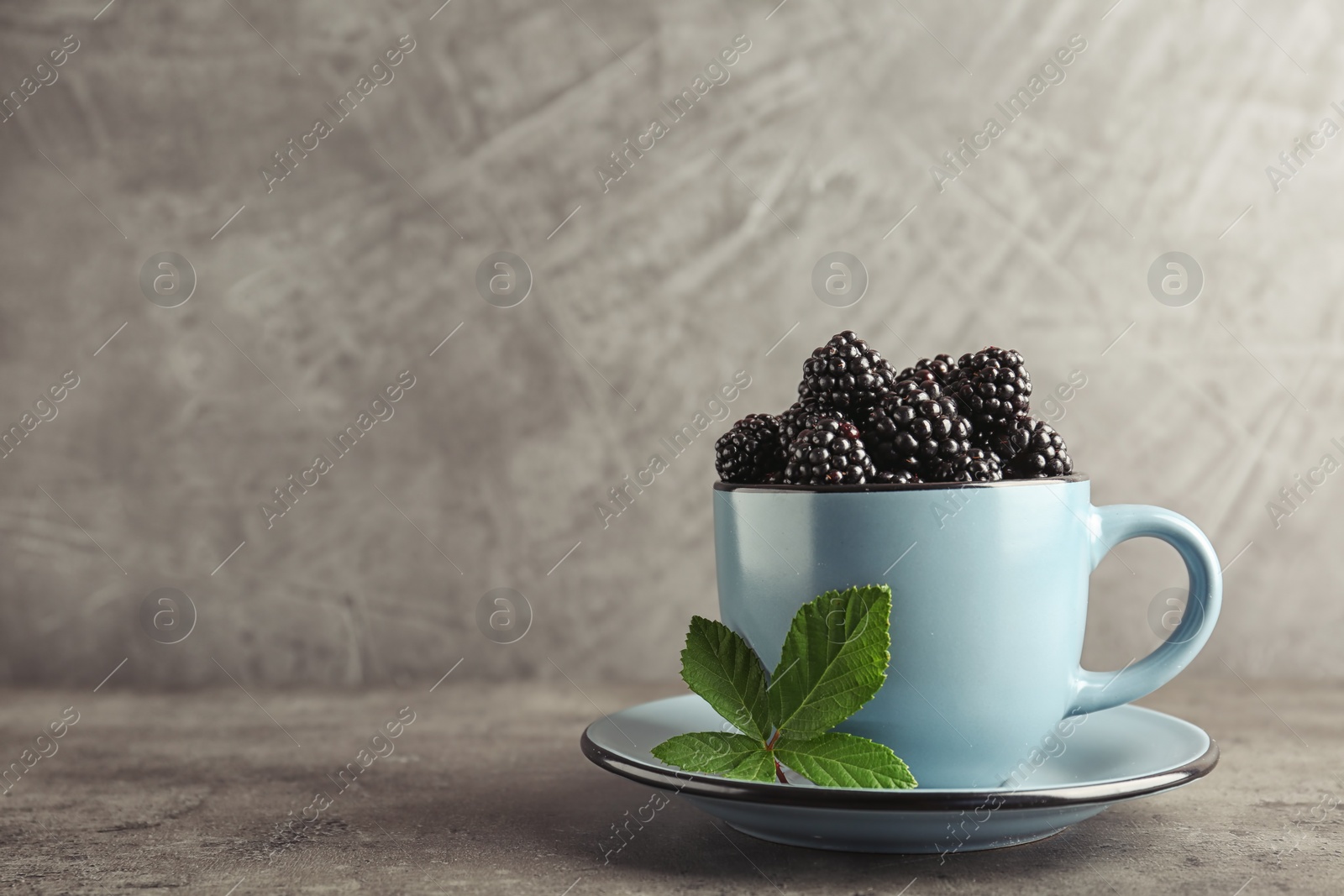 Photo of Mug with fresh blackberry on gray table. Space for text