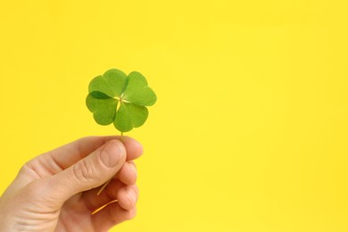 Woman holding beautiful green four leaf clover on yellow background, closeup. Space for text