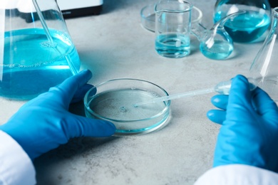 Photo of Scientist working with Petri dish and pipette at table, closeup. Solution chemistry