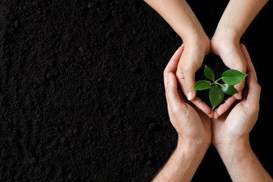 Couple holding seedling over soil, top view with space for text. Planting tree