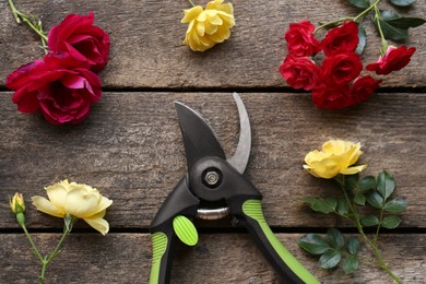 Photo of Secateur and beautiful roses on wooden table, flat lay