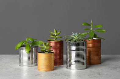 Beautiful houseplants in tin cans on light grey stone table