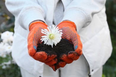 Photo of Woman in gardening gloves holding pile of soil with flower outdoors, closeup