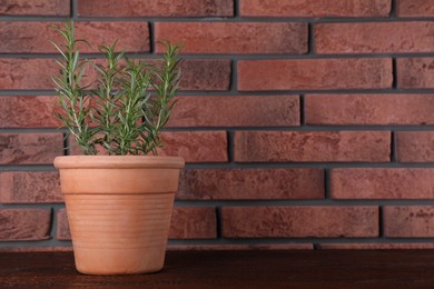 Aromatic green potted rosemary on wooden table near brick wall, space for text