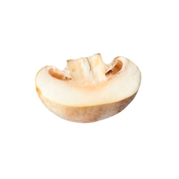 Photo of Piece of fresh mushroom on white background