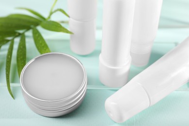 Different lip balms and palm leaf on light blue background, closeup