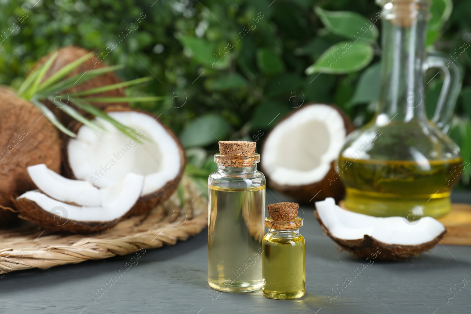 Photo of Bottles of organic coconut cooking oil and fresh fruits on grey table