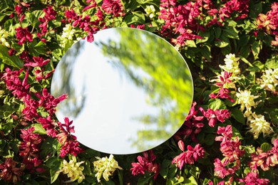 Photo of Round mirror among flowers reflecting tree and sky on sunny day