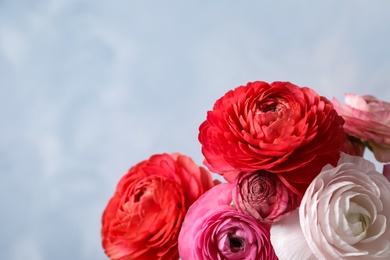 Photo of Beautiful fresh ranunculus flowers on color background, closeup. Space for text