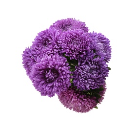 Photo of Bouquet of purple asters isolated on white, top view.  Autumn flowers