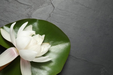 Photo of Beautiful white lotus flower with green leaf on grey table, closeup. Space for text