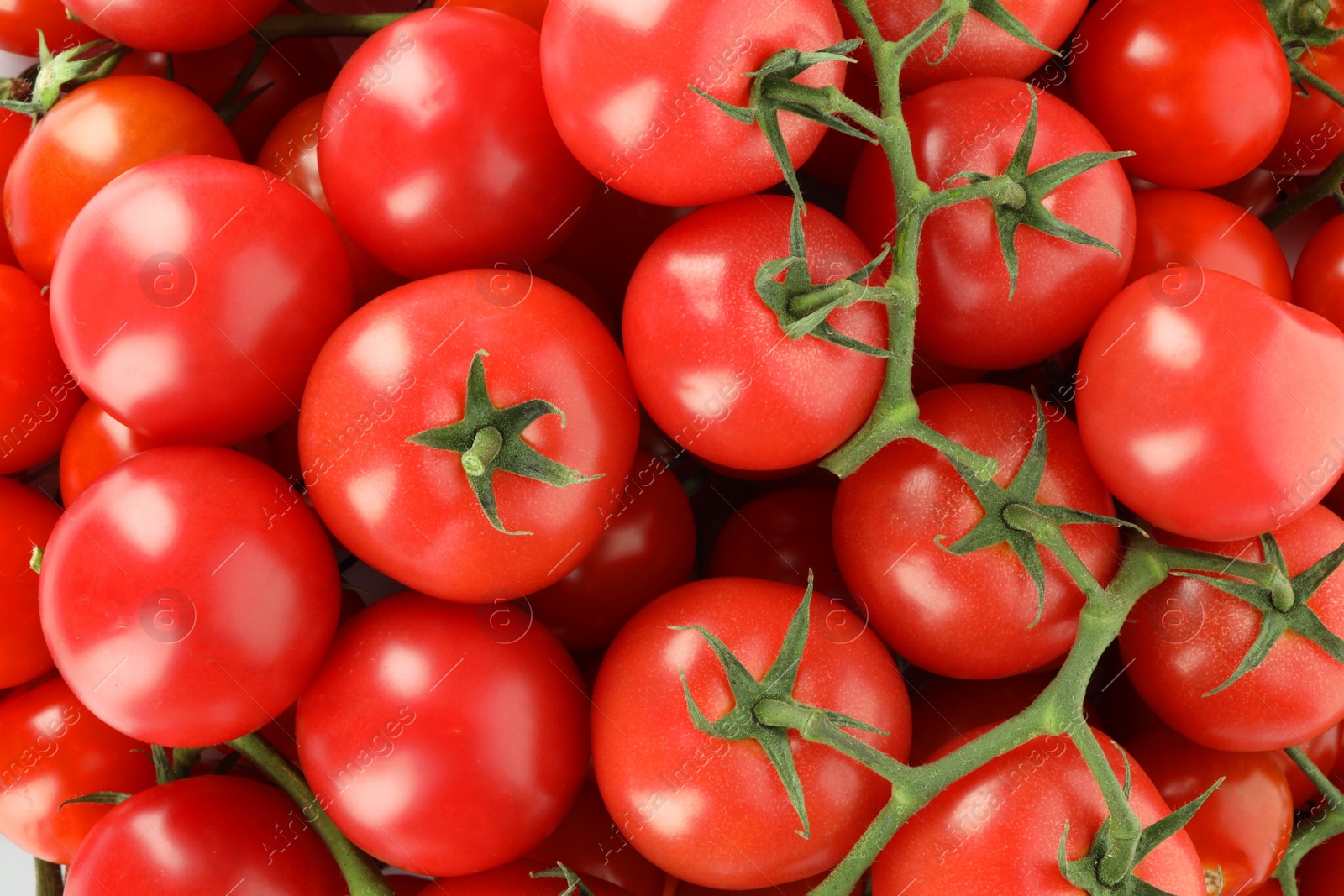 Photo of Many fresh ripe cherry tomatoes as background, top view