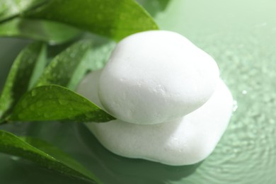 Spa stones and fresh leaves in water on light green background, closeup