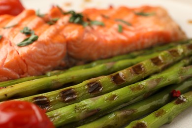 Photo of Tasty asparagus and salmon with spices on plate, closeup