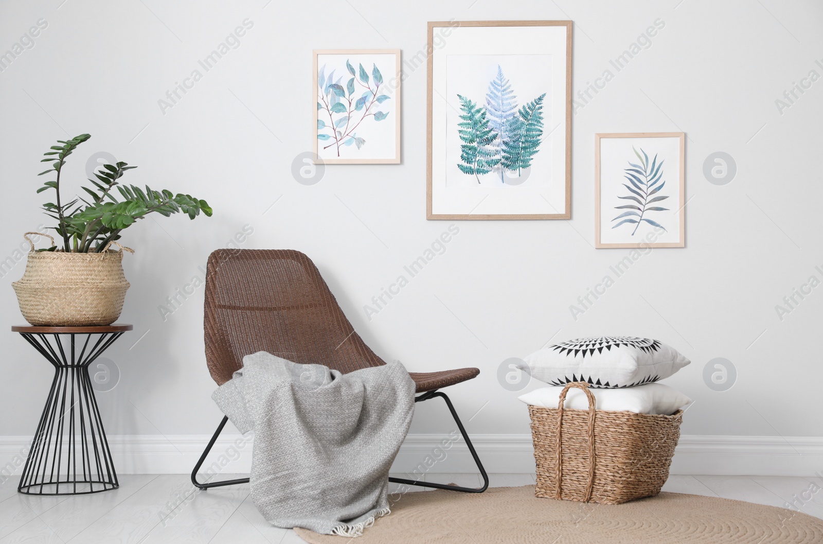 Photo of Comfortable armchair and plant near white wall indoors at home. Idea for interior design