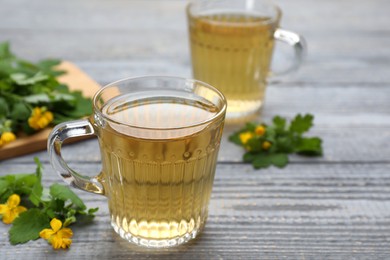 Glass cup of aromatic celandine tea and flowers on grey wooden table, closeup