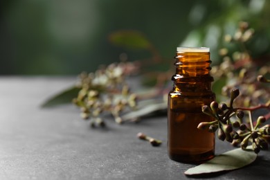 Photo of Bottle of eucalyptus essential oil and plant branches on grey table, space for text