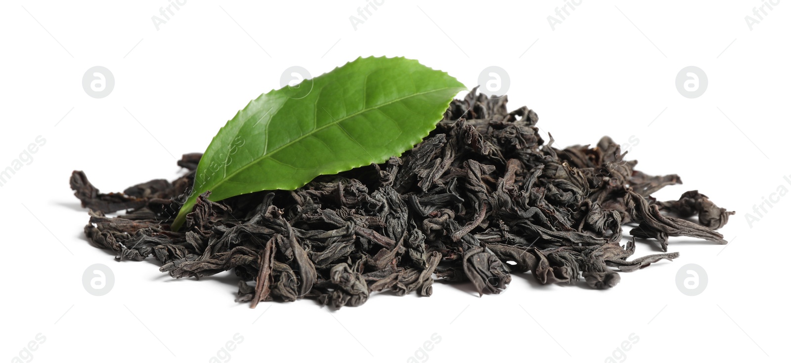 Photo of Dry and fresh tea leaves isolated on white