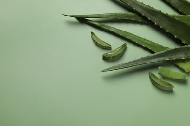 Photo of Cut aloe vera leaves on light green background. Space for text